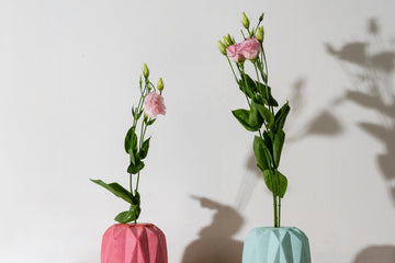 Eustoma